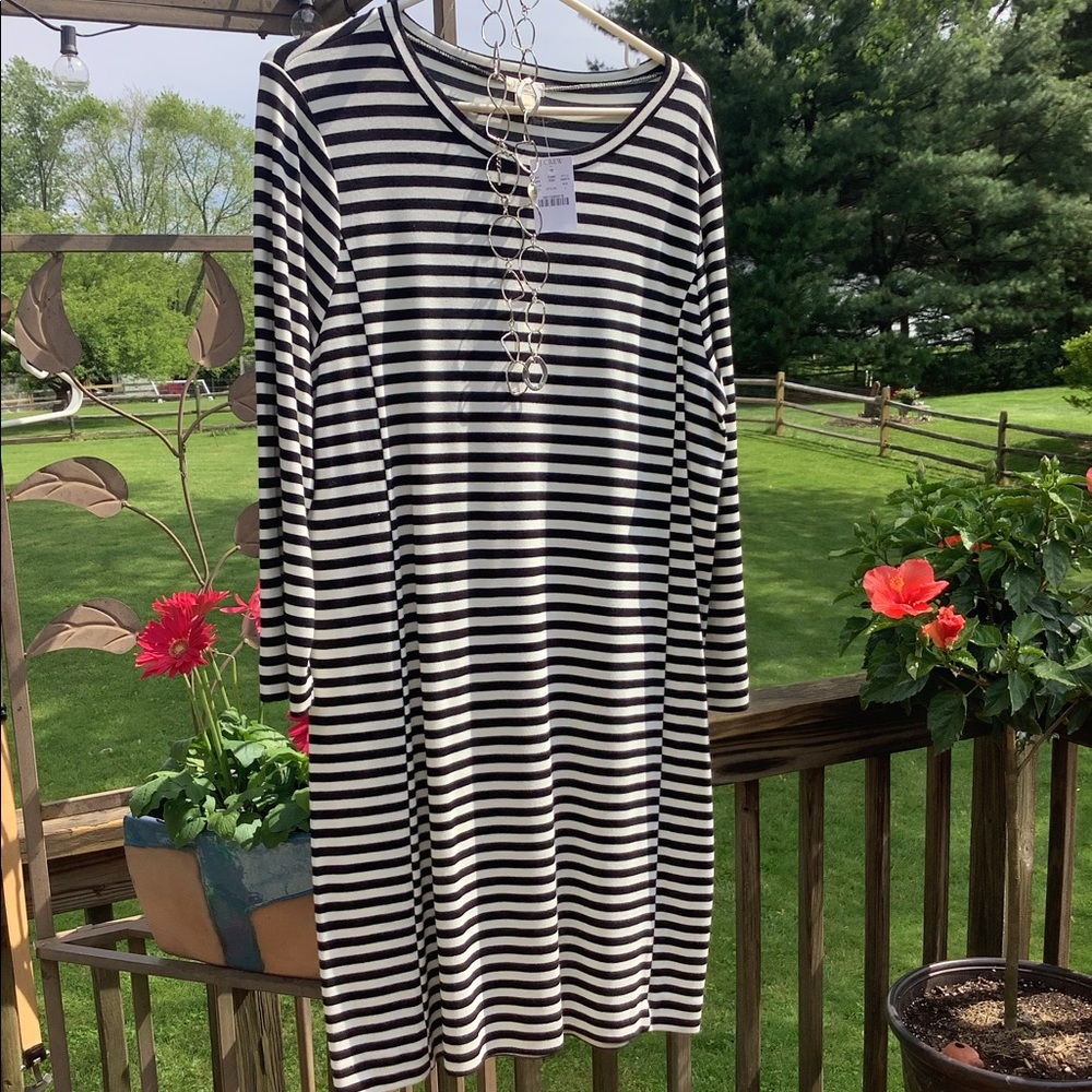 JCrew Dress